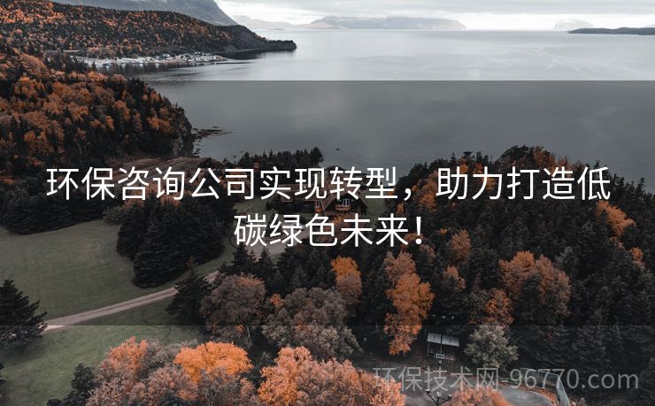 環(huán)保咨詢公司實(shí)現(xiàn)轉(zhuǎn)型，助力打造低碳綠色未來(lái)！