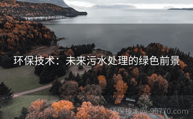 環(huán)保技術(shù)：未來污水處理的綠色前景