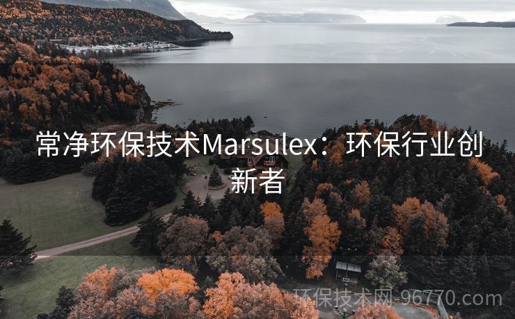 常凈環(huán)保技術(shù)Marsulex：環(huán)保行業(yè)創(chuàng)新者